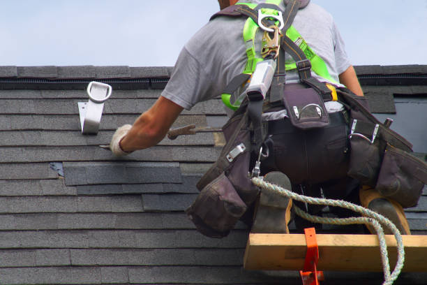 Best Roof Insulation Installation  in Mcallen, TX