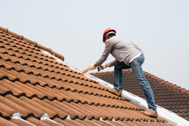 Best Storm Damage Roof Repair  in Mcallen, TX