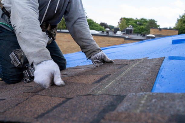 Best Chimney Flashing Repair  in Mcallen, TX