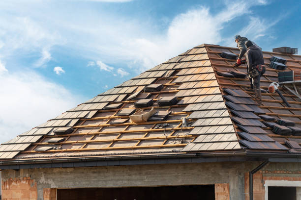 Best Sheet Metal Roofing  in Mcallen, TX