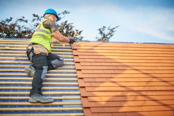 Best Gutter Installation and Repair  in Mcallen, TX